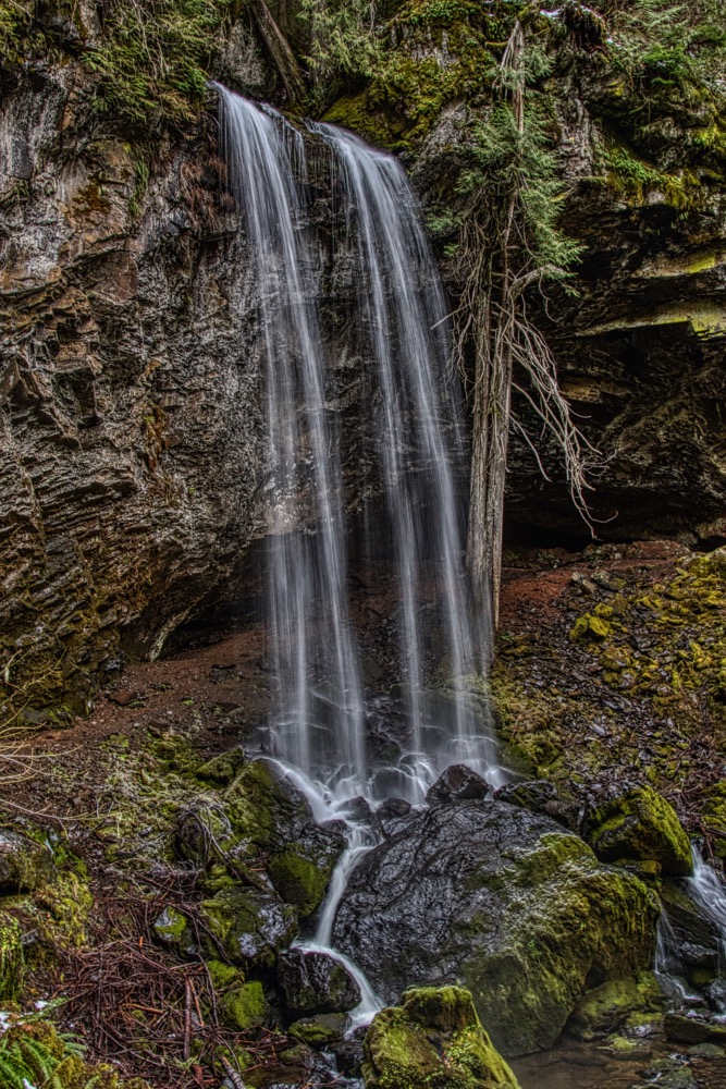 Grotto Falls. Douglas County, Oregon.